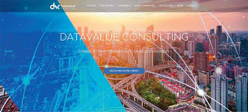 DataValue Consulting www.datavalue-consulting.com